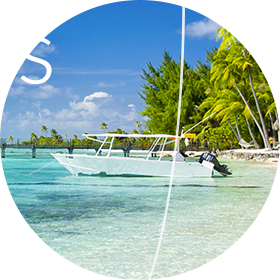 Avios | CRM Newsletter